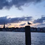 Fewo Duenengras Mit Terrasse Und Strandkorb