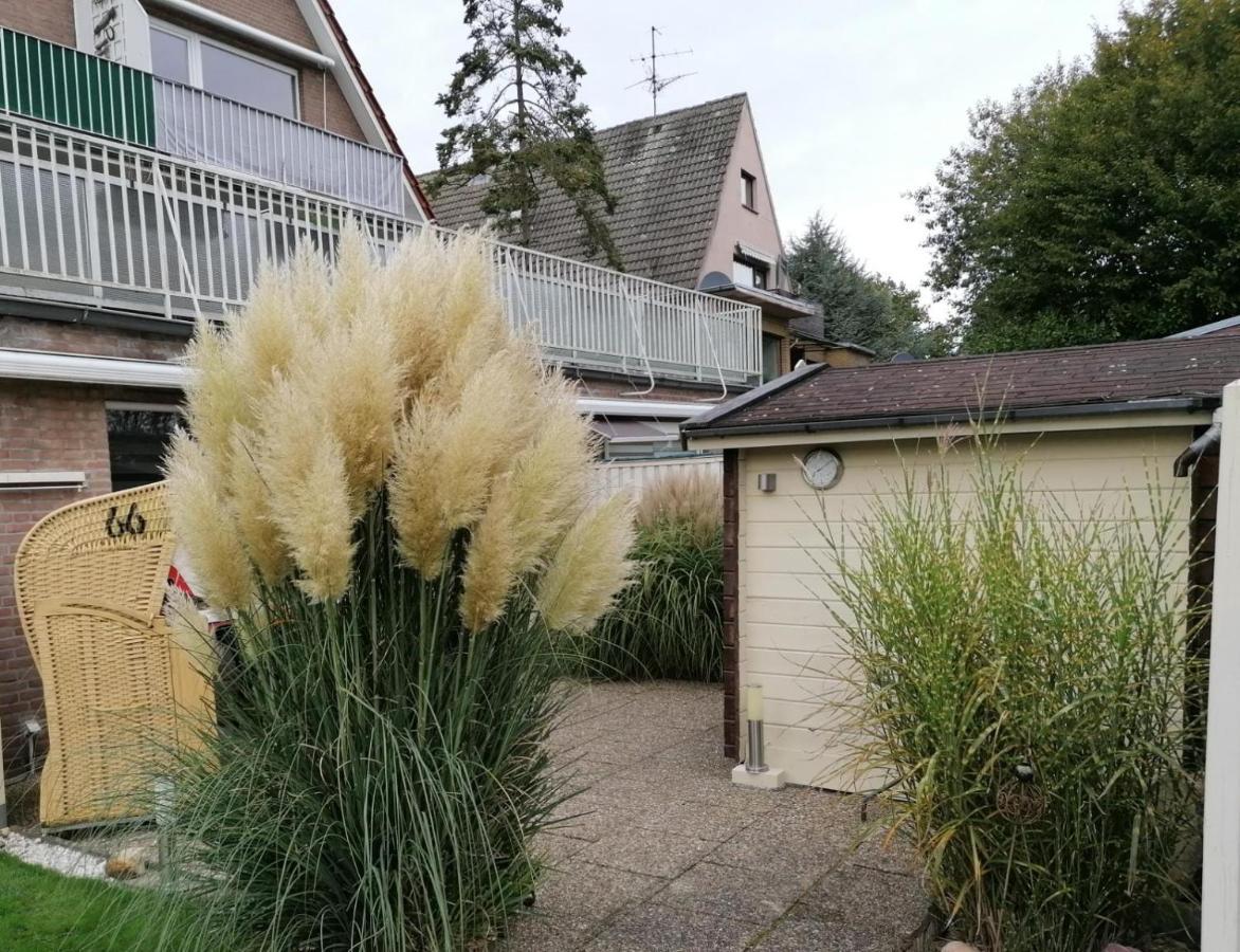 Duenengras Mit Terrasse Und Strandkorb *